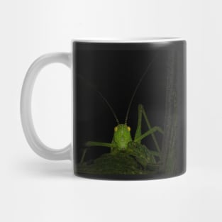 green grasshopper looks at someone creepy Mug